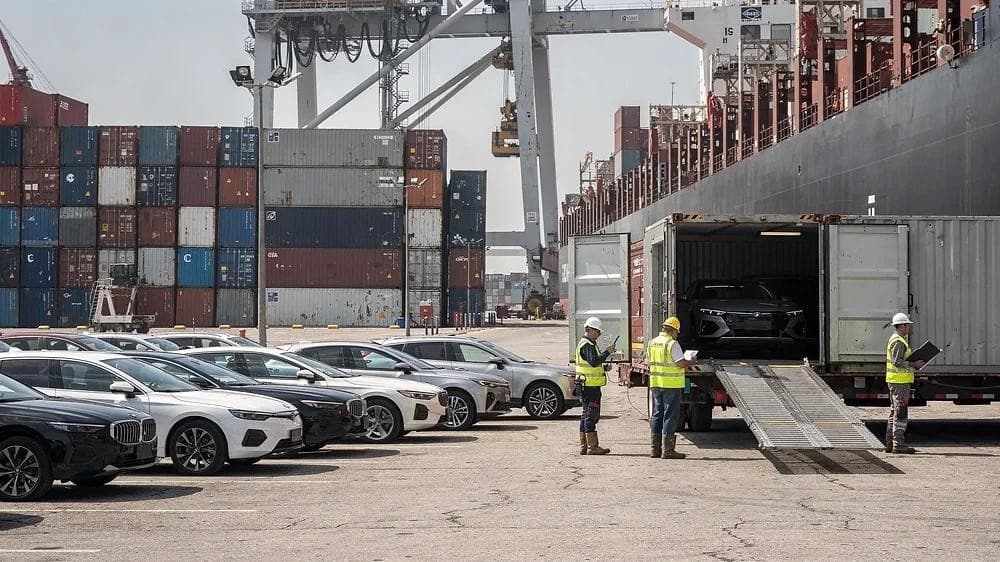 Inspectors checking vehicles beside a container at the port